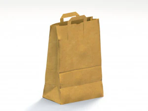 paper bag pbr low poly 3D Model