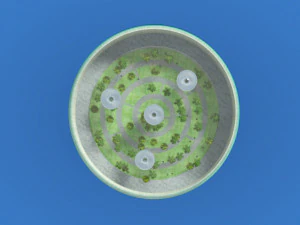 futuristic architecture skyscraper 09 3D Model