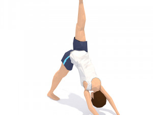 30 yoga pose animations bundle woman 3D 模型