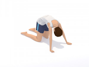 30 yoga pose animations bundle woman 3D 模型