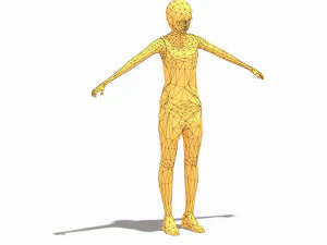 low poly woman exercise rig 3D Model