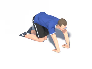 32 stretch animation bundle 3D Model