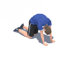 32 stretch animation bundle 3D Model