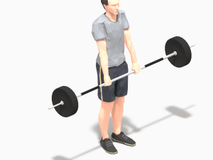 barbells worksout animation bundle 3D Model