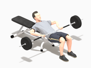 barbells worksout animation bundle 3D Model