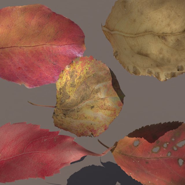 autumn fall leafs pack low poly 3D Модель .c4d .max .obj .3ds .fbx .stl .blend 
