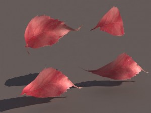 autumn fall leafs pack low poly 3D Модель