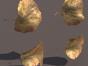 autumn fall leafs pack low poly 3D Модель