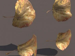 autumn fall leafs pack low poly 3D Model