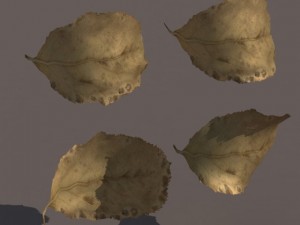 autumn fall leafs pack low poly 3D Модель