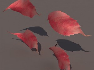 autumn fall leafs pack low poly 3D Модель