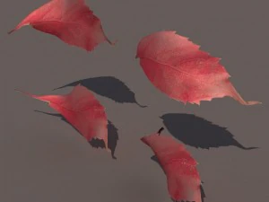 autumn fall leafs pack low poly 3D Model