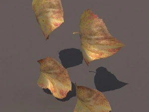 autumn fall leafs pack low poly 3D Model