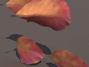 autumn fall leafs pack low poly 3D Модель