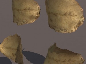 autumn fall leafs pack low poly 3D Модель