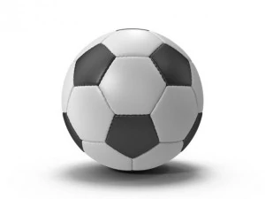 soccer ball 3D Model