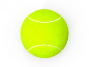 tenis ball furfurry Modello 3D