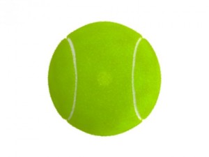 tenis ball furfurry Modello 3D