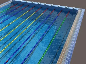 olimpik y&uuml;zme havuzu modeli 3D Model