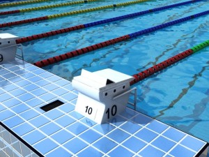 olympic swimming pool model 3D Model