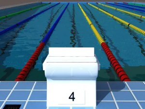 olimpik y&uuml;zme havuzu modeli 3D Model