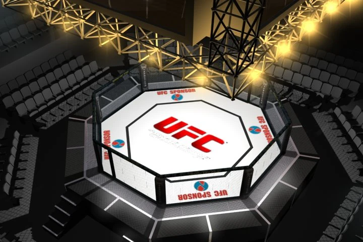 ufc style octagon arena 3D Model .c4d .max .obj .3ds .fbx .stl .blend