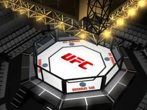 Achthoekige arena in ufc-stijl 3D Model