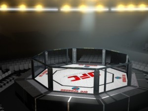 ufc style octagon arena 3D 모델