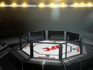 ufc style octagon arena 3D Model
