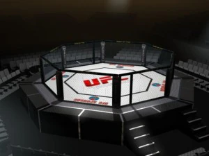 ufc style octagon arena 3D Model