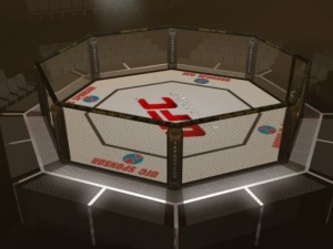 ufc style octagon arena 3D 모델