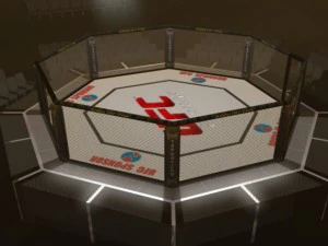 ufc style octagon arena 3D Model