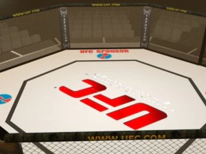 ufc style octagon arena 3D Model