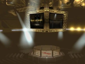 ufc style octagon arena 3D Model