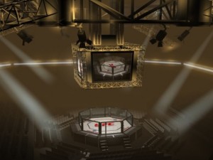ufc style octagon arena 3D 모델