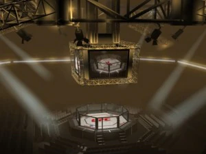 ufc style octagon arena 3D Model