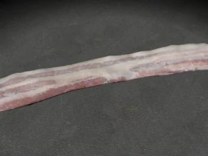 bacon Modelo 3D