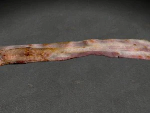 bacon Modelo 3D