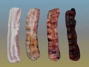 bacon Modèle 3D