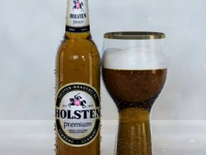 Holsten 3D Model
