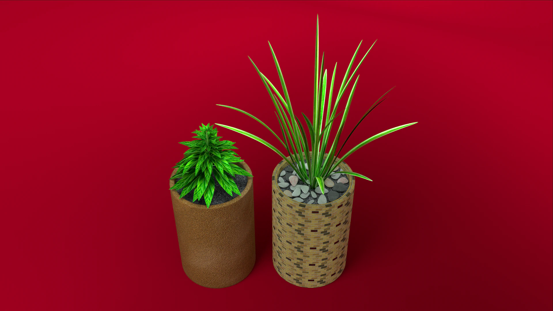 potted alpinia and pandan 3D Model .c4d .max .obj .3ds .fbx .stl .blend 