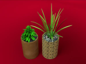 alpinia y pandan en maceta Modelo 3D