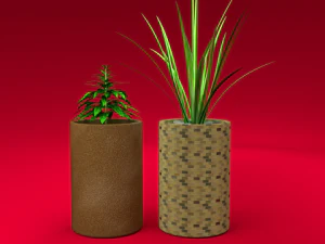 potted alpinia and pandan 3D Model