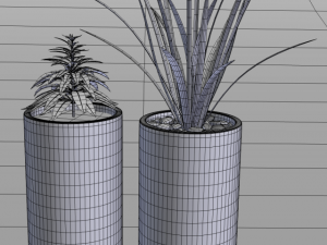 potted alpinia and pandan 3D Модель