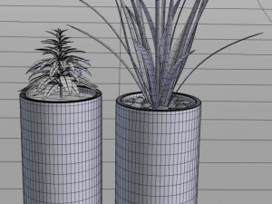 potted alpinia and pandan 3D Model