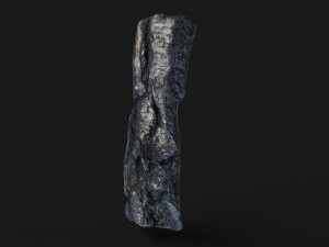 Burned wooden log 3Dモデル