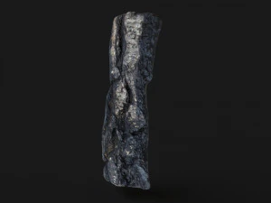 Burned wooden log 3D Model