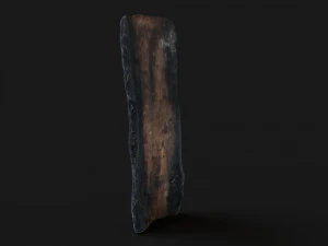 Burned wooden log 3D Model