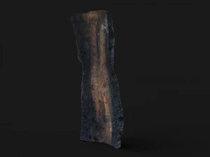 Burned wooden log 3D Model