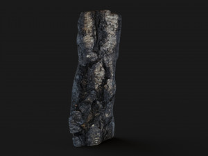 Burned wooden log 3Dモデル